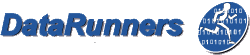 DataRunners LLC logo